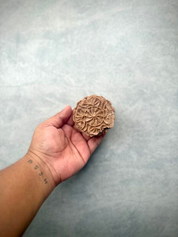 🍫 Shampoo sólido Chokoleti – Nutrición intensa y brillo natural