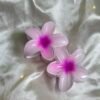 🌸Caimán Rosa tropical grande